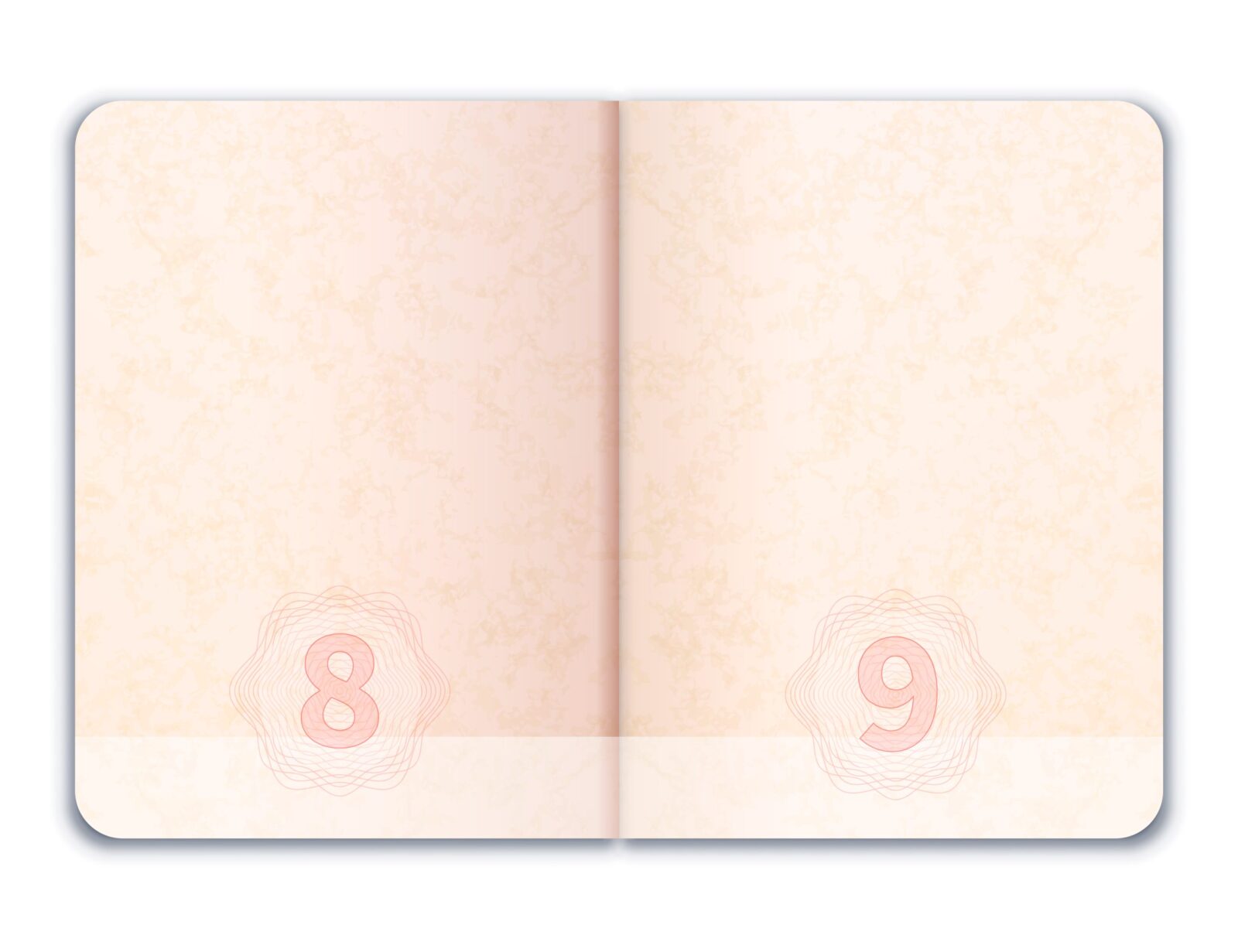 Способы проверки готовности заграничного паспорта