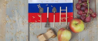 Оформление временной регистрации по ВНЖ ☝