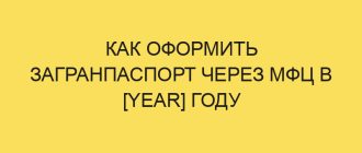 kak oformit zagranpasport cherez mfts v year godu 1436
