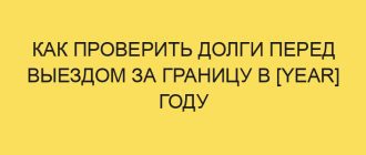 kak proverit dolgi pered vyezdom za granitsu v year godu 1121