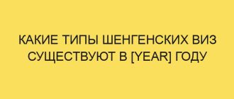 kakie tipy shengenskih viz suschestvuyut v year godu 1890