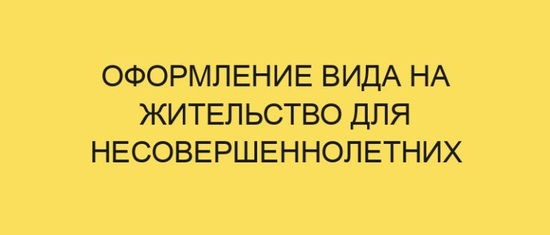 oformlenie vida na zhitelstvo dlya nesovershennoletnih 385