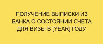 poluchenie vypiski iz banka o sostoyanii scheta dlya vizy v year godu 290