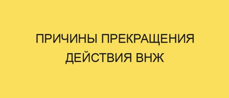 prichiny prekrascheniya deystviya vnzh 1690