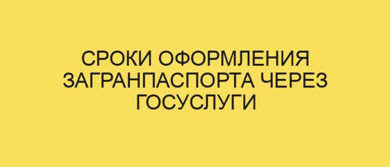 sroki oformleniya zagranpasporta cherez gosuslugi 264